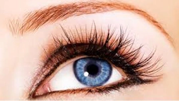 Erkek Kirpik Özellikleri ve Faydaları Nelerdir?